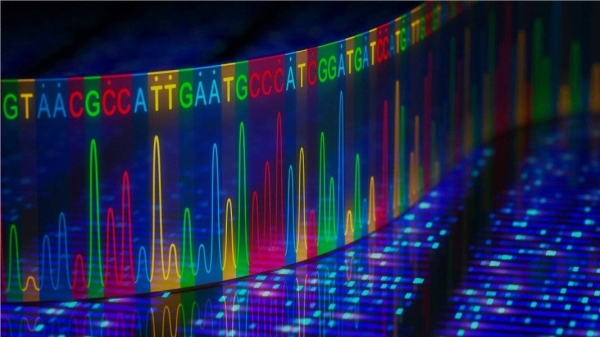 The health ministry in the United Arab Emirates has called upon all citizens to participate in the Emirati Genome Program, a ground-breaking national genomics initiative and one of the world’s largest, and most comprehensive genomics programs. — Courtesy photo