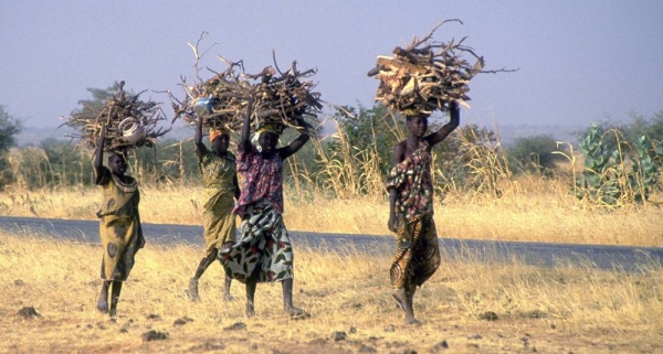 File photo shows young women carry bundles of firewood in the Tahoua region of Niger. — courtesy UNICEF/Giacomo Pirozzi