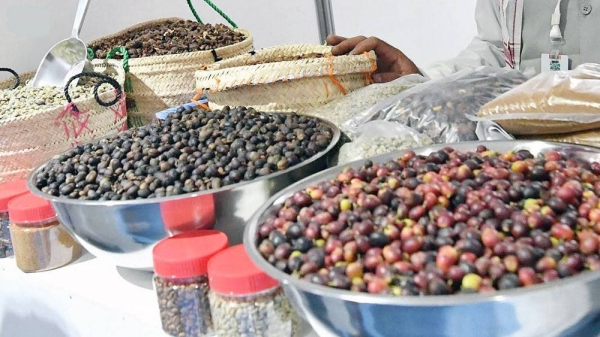 The Eighth Coffee Festival, currently being held in Al-Dayer Bani Malik Governorate, is one of the main marketing outlets for the highest quality coffee beans in Jazan Region, and one of the main tourist attractions to acquaint visitors with the mountainous governorates.