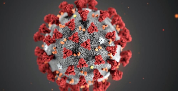 A digital illustration of the coronavirus shows its crown-like appearance. — courtesy Centers for Disease Control and Prevention