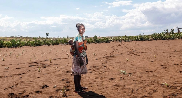 UNICEF is assisting farmers in the recovery of their crops in drought-stricken Madagascar. — courtesy UNICEF/Safidy Andriananten
