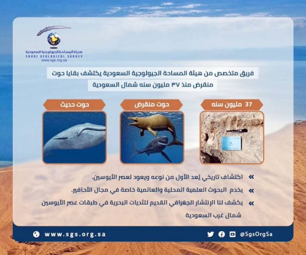 The Saudi Geological Survey announced Sunday the discovery of remains of an extinct primitive whale dating back to 37 million years, in Al-Jouf Region.