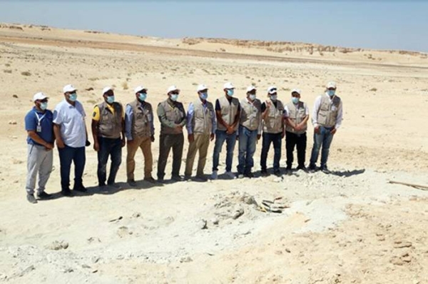 The Saudi Geological Survey announced Sunday the discovery of remains of an extinct primitive whale dating back to 37 million years, in Al-Jouf Region.