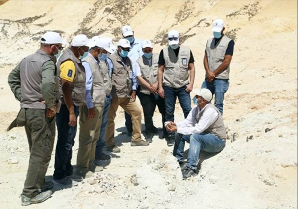 The Saudi Geological Survey announced Sunday the discovery of remains of an extinct primitive whale dating back to 37 million years, in Al-Jouf Region.