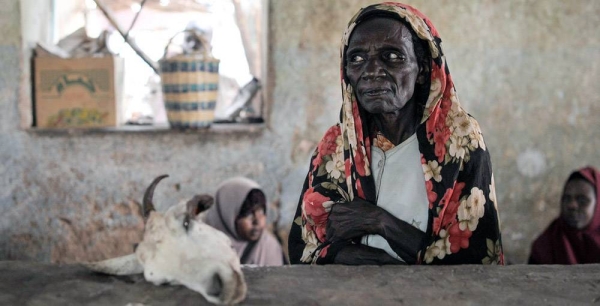 A Somali resident sells meat at a market in Hudur, where food shortages continue to cause suffering. — courtesy UN Photo/Tobin Jones