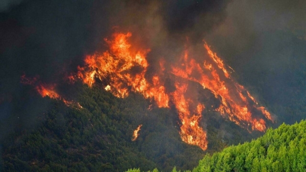 Firefighters continue to battle major fires in Greece, including one that could put the archaeological site of the first ancient Olympic games at risk. — Courtesy photo