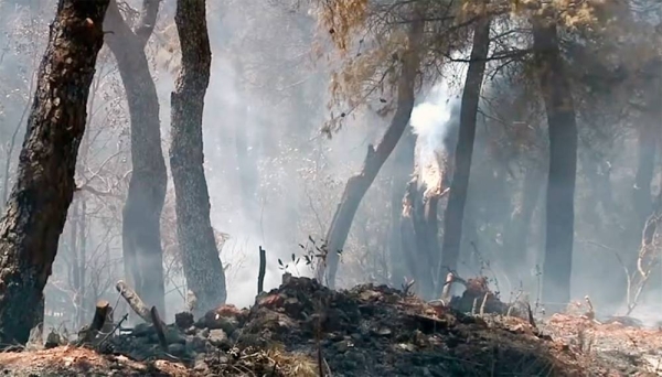 he European Union has announced that its Civil Protection Mechanism continues to channel support to help combat unprecedented forest fires in Greece and the rest of the Mediterranean.