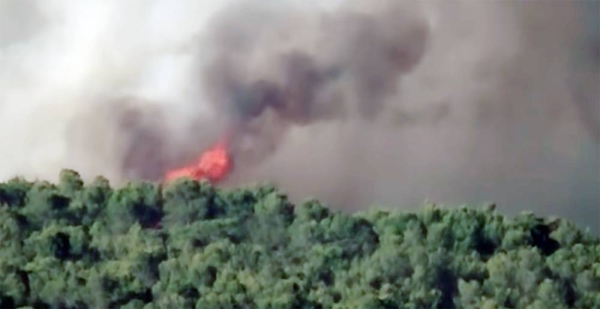 France has mobilized two Canadair-type firefighting planes to help Algeria fight forest fire.