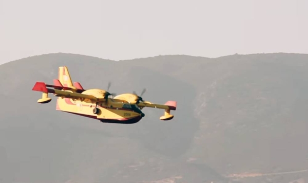 France has mobilized two Canadair-type firefighting planes to help Algeria fight forest fire.