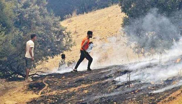 Volunteers attempt to put out a fire in the forest hills of the Kabylie region.