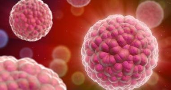 New study finds specific white blood cell can help treat cancer