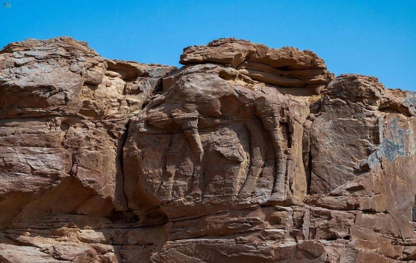 A scientific study by the Saudi Heritage Commission with Saudi and international researchers, has been able to date rock carvings at the ‘Camel Site’ in Al-Jouf back to the Neolithic period.
