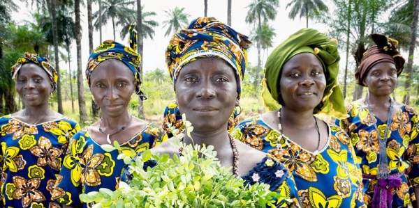 UN Women are helping women farmers in Guinea with new opportunities to generate income and improve community life. — courtesy UN Women/Joe Saade