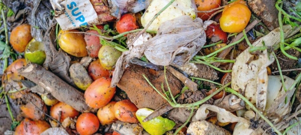 Food waste, pictured here at Lira market in Uganda, is a significant challenge for farmers and vendors alike. —courtesy FAO/Sumy Sadurni