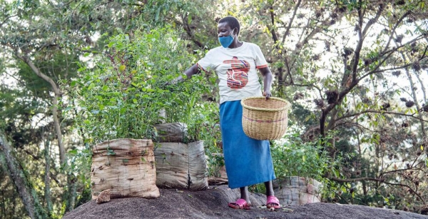 A Kenyan farmer has been experimenting with a range of new seeds, which is helping to increase biodiversity where she lives. — courtesy 2019 Alliance of Bioversity International and CIAT/ Georgina Smith