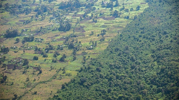 
Virunga National Park in the Democratic Republic of Congo is threatened by agricultural pressure.
