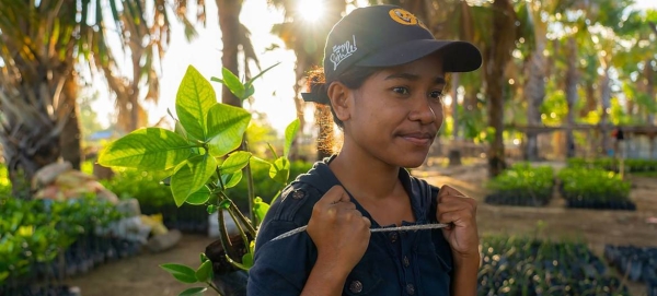 Communities in Timor-Leste are helping to restore mangrove forests.
