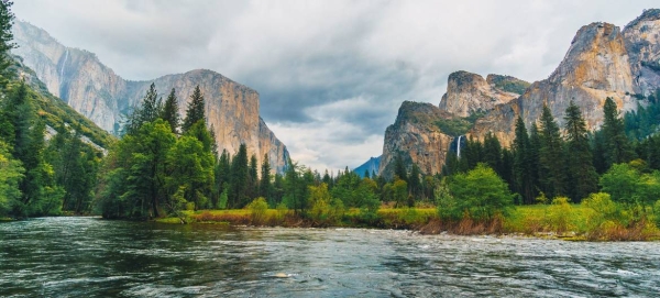 Yosemite National Park in the USA is one of ten World Heritage Forests that has gone from removing carbon from the atmosphere to emitting it.