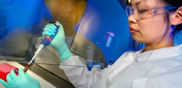 A scientist tests a sample suspected of containing a bacterial toxin. – courtesy CDC