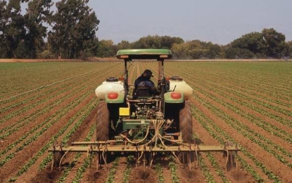 Farmers apply fertilizers to boost yields of crops such as corn, canola and wheat. 