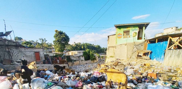 A plastic recycling collection point in Port-au-Prince, Haiti. — courtesy UN Haiti/Daniel Dickinson