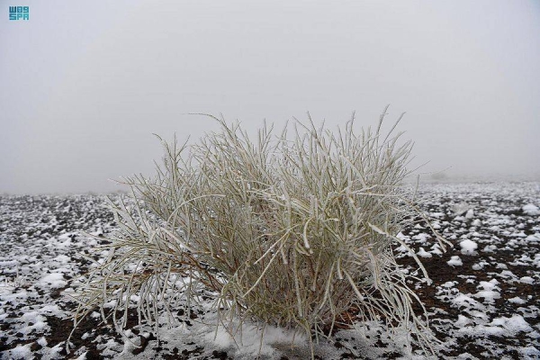 Severe cold wave sweeping Saudi Arabia