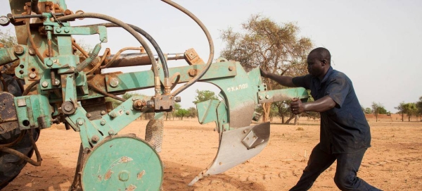 Women dig mid-moon dams to save water in Niger.