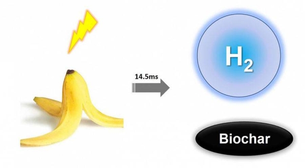 Blasting bananas with light could pave the way for more ‘eco-friendly’ biomass