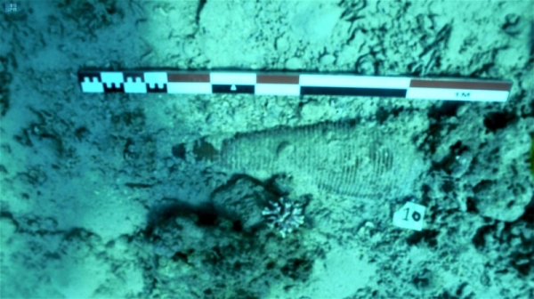 The Saudi Heritage Authority declared on Thursday that the commission's submerged antiquities exploration mission, led by five Saudi divers, has been a success. They uncovered a sunken shipwreck in the Red Sea off the coast of Haql Governorate and unearthed hundreds of artifacts from the ship's cargo.