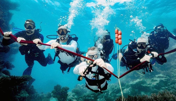 KAUST recently announced the inauguration of the world’s first coral probiotics village in the Red Sea. The village is part of the University’s Red Sea Research Center (RSRC) efforts and approach to coral preservation and restoration.