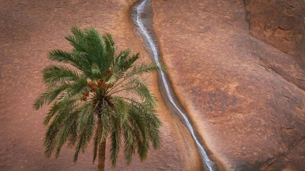 The winning photograph, from Iqdah, Hail.