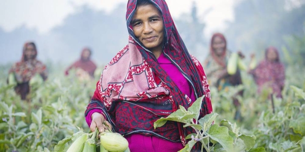 Women in Bangladesh harvest vegetables as part of a livelihood program to ensure their family’s food security. — courtesy WFP/Sayed Asif Mahmud