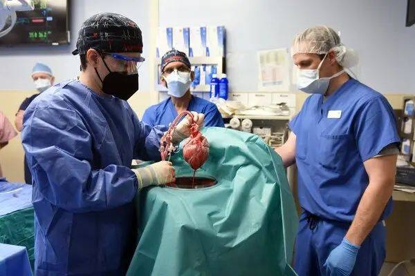 Dr. Bartley P. Griffith, the surgeon who transplanted the pig heart at the University of Maryland Medical Center, said 57-year-old Bennet was a noble and brave patient who fought all the way to the end.