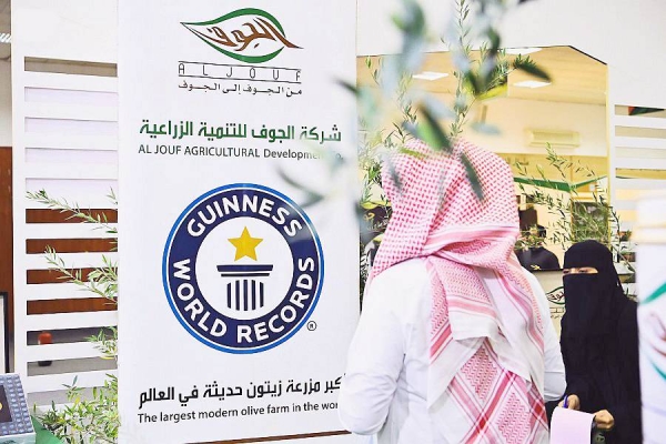 Al-Jouf region is showcasing at the Al-Jouf International Olive Festival its largest modern olive farm, holder of the Guinness World Record since 2018, with the largest number of olive trees in one orchard in the world.