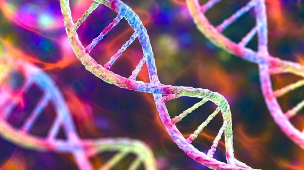 تم الانتهاء من تسلسل الجينوم البشري الخالي من الفجوات لأول مرة