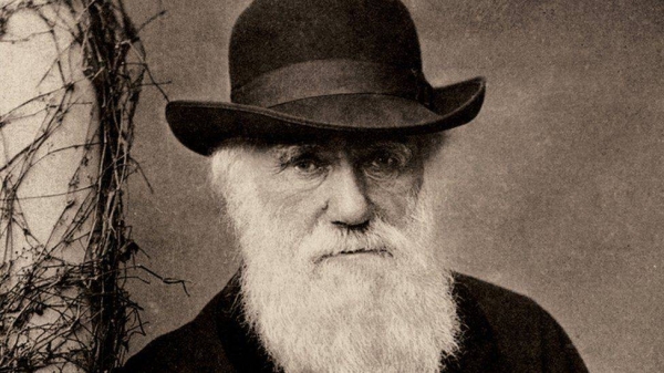 Charles Darwin's work on evolution theory by natural selection changed the way we think about the natural world.
