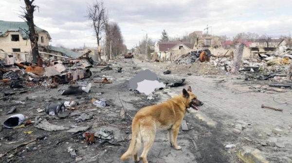 A screenshot of a scene of devastation of destroyed houses and Russian military vehicles in Bucha close to Kiev, Ukraine.