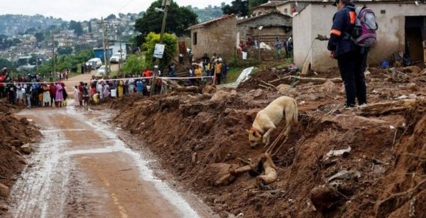 Sniffer dogs are being used to find bodies.