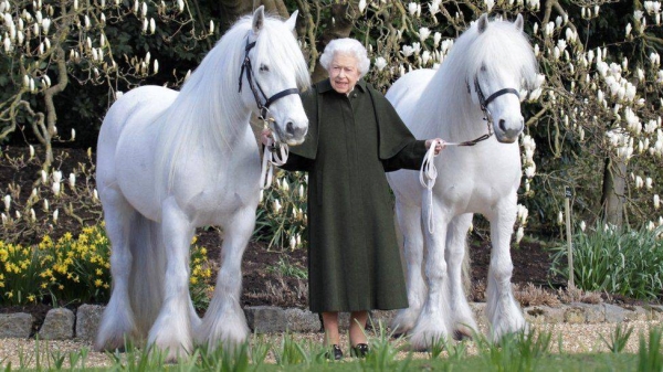 A photograph for the Queen's birthday reflects her lifelong interest in horses.