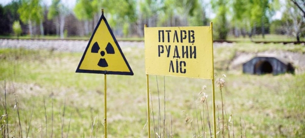 The damaged unit 4 reactor and shelter at Chernobyl, Ukraine. — courtesy IAEA/Dana Sacchetti