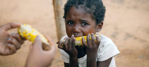 A five-year-old girl eats corn for lunch in Madagascar. Her mother is a farmer and feeds her family with what she can produce, despite drought and insects. — courtesy WFP/Sitraka Niaina Raharinaiv