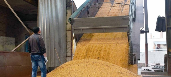 A truck unloads corn grain at a processing factory in Ukraine. — courtesy FAO/Genya Savilov