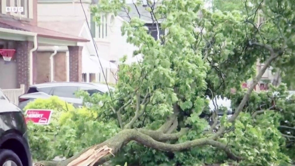 The deadly storm moving through Ontario, Canada, felled trees and caused power outages.