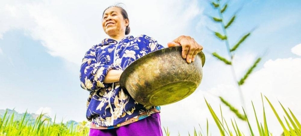 A woman harvests rice and maize on a community farm in Vietnam. — courtesy UNEP/Lisa Murray