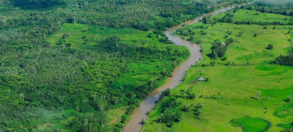 The Amazon Rainforest in Brazil