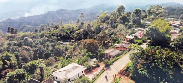 50 Amigas, a coffee-making collective in Caucas, Colombia, supported by the UN Peacebulding Fund. — courtesy UN Multi-Partner Trust Fund for Sustaining Peace in Colombia