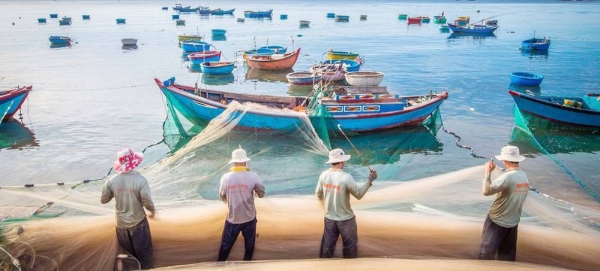 Local fishermen haul in their catch of sardines on the coast of Nui Chua National Park in Viet Nam. — courtesy UNEP/Lisa Murray