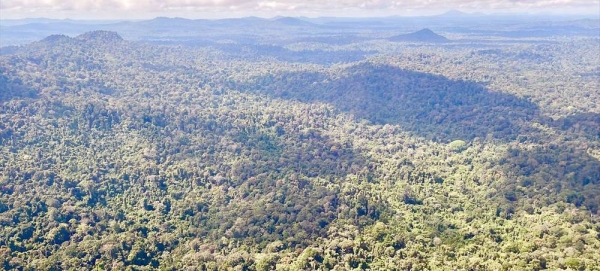 UN Secretary-General António Guterres surveys the Central Suriname Nature Reserve, which comprises 1.6 million ha of primary tropical forest of west-central Suriname. — courtesy UN News/Evan Schneider