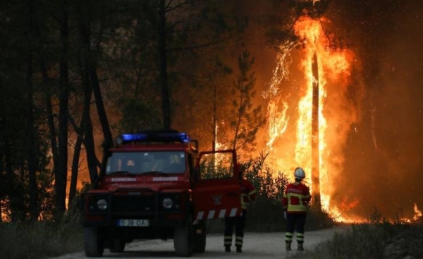 Scorching heat wave sparks wildfires in Europe