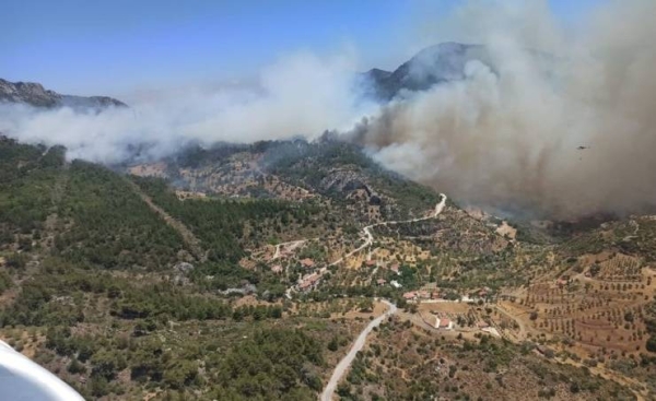 Strong winds fan forest fire in southwestern Turkey